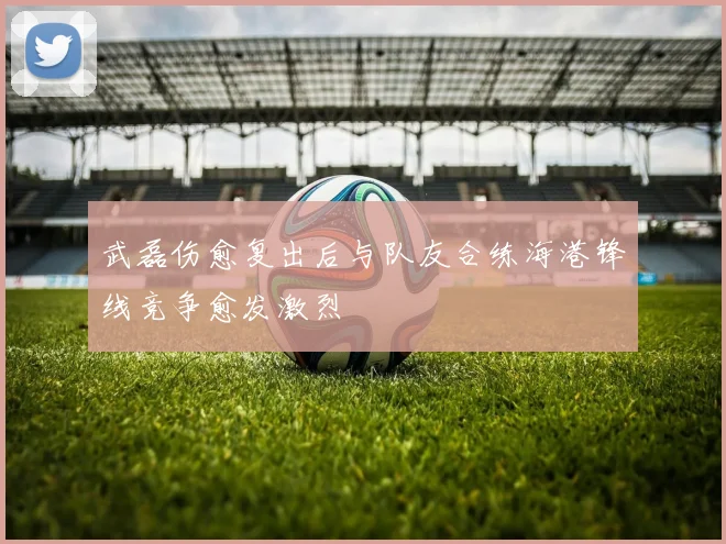 武磊伤愈复出后与队友合练海港锋线竞争愈发激烈