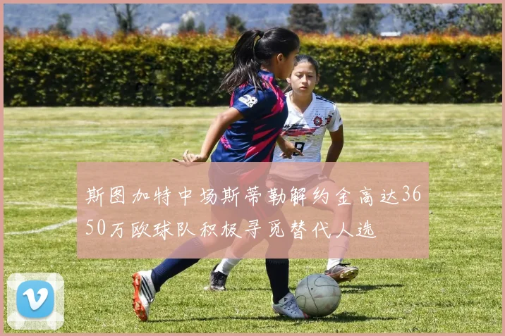 斯图加特中场斯蒂勒解约金高达3650万欧球队积极寻觅替代人选