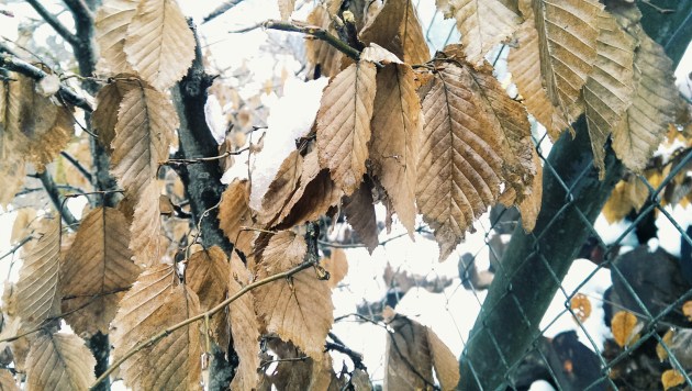 Processed with VSCOcam with g3 preset