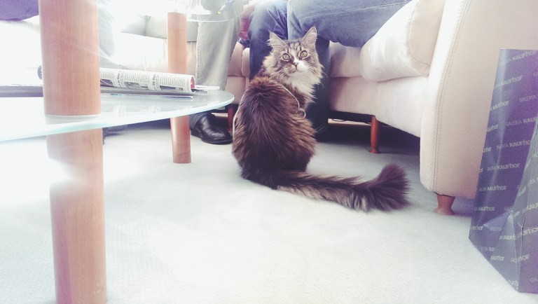 Processed with VSCOcam with f2 preset