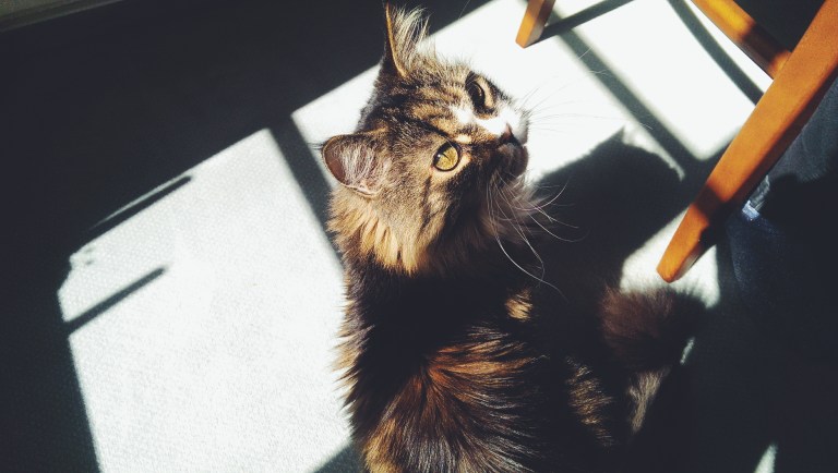 Processed with VSCOcam with f2 preset