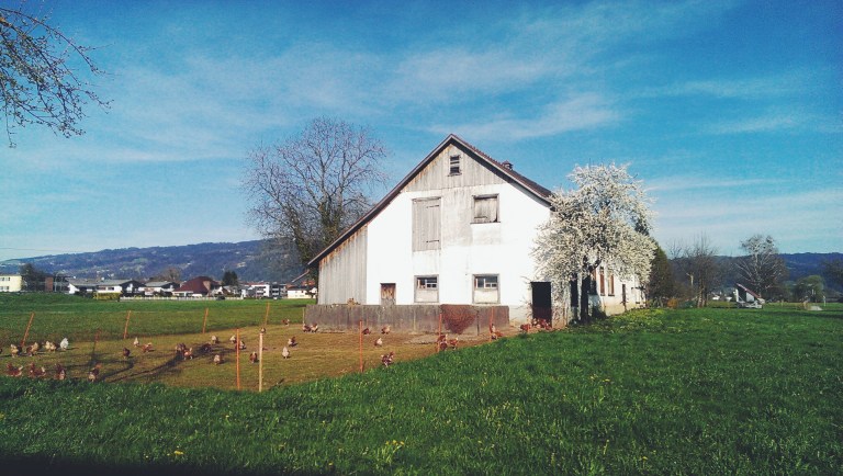 Processed with VSCOcam with f2 preset