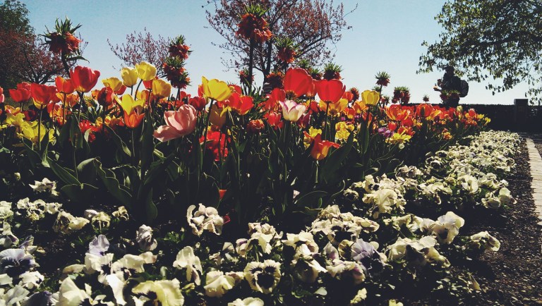 Processed with VSCOcam with f2 preset