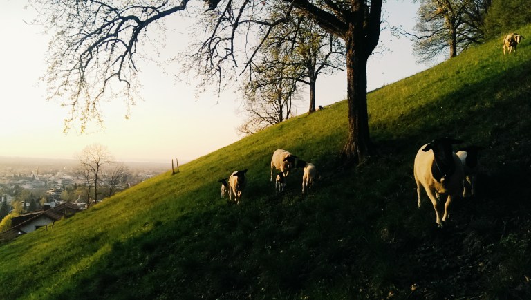 Processed with VSCOcam with g3 preset