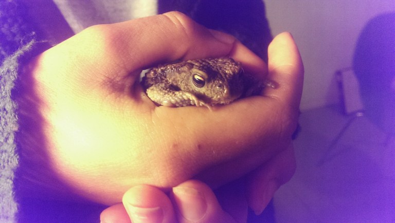 Processed with VSCOcam