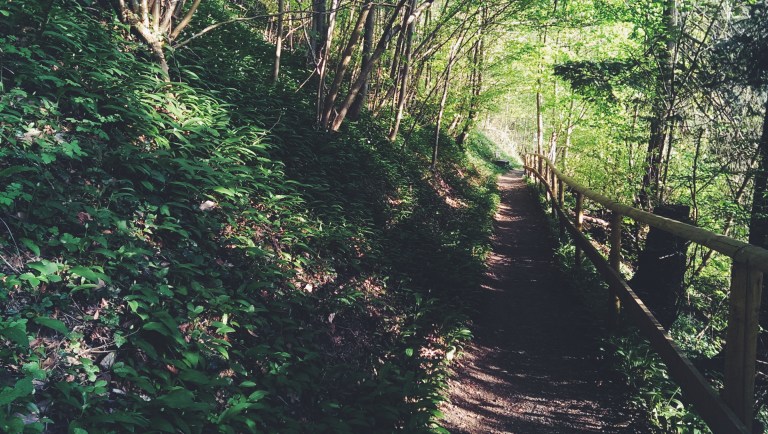 Processed with VSCOcam with f2 preset