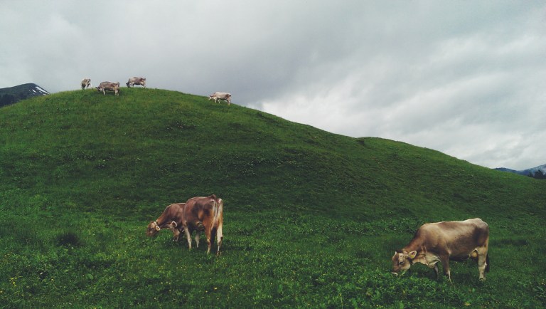 Processed with VSCOcam with f2 preset