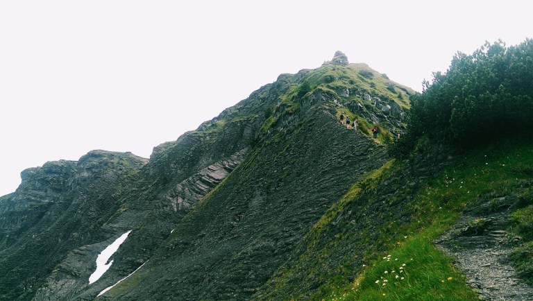 Processed with VSCOcam with c1 preset