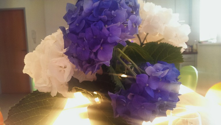 Processed with VSCOcam