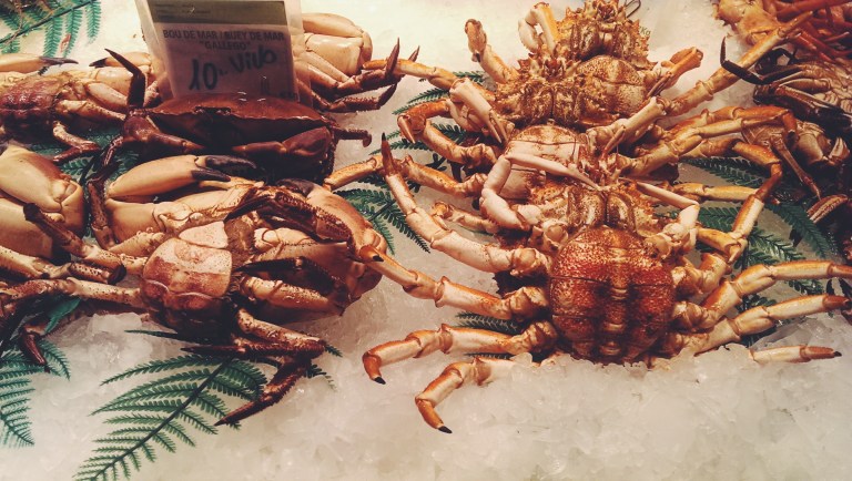 Processed with VSCOcam with f2 preset