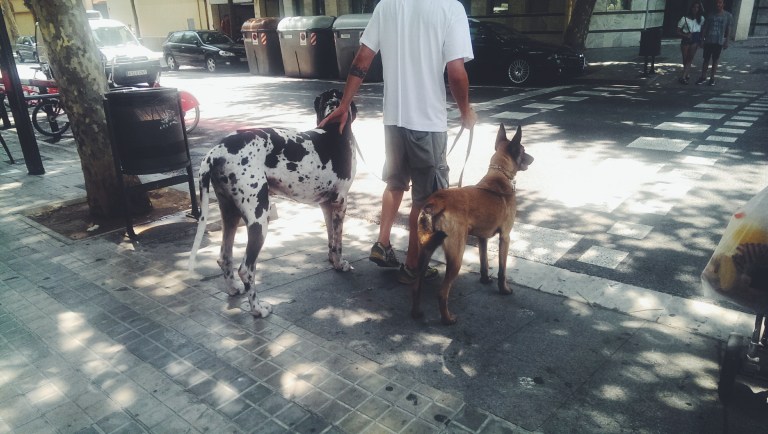 Processed with VSCOcam with f2 preset