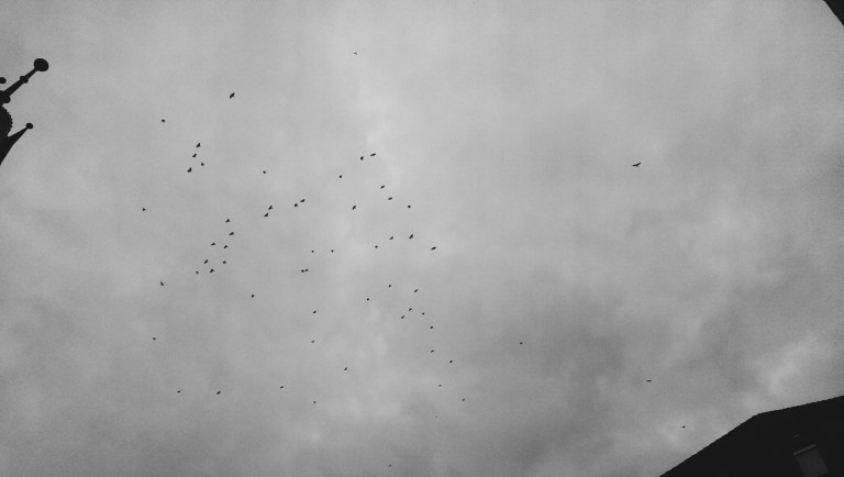 Processed with VSCOcam with b5 preset