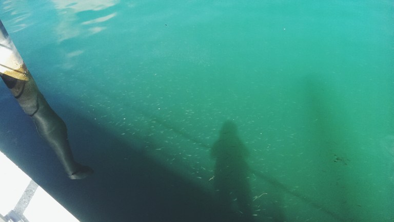 Processed with VSCOcam with f2 preset