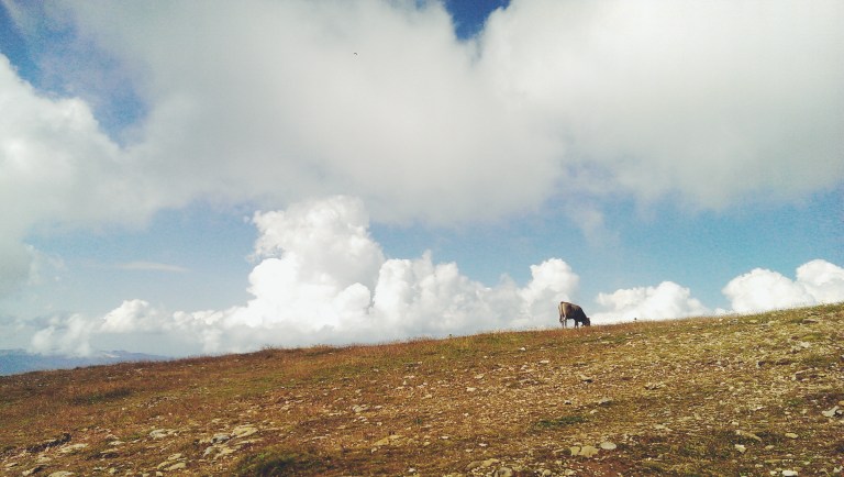 Processed with VSCOcam with f2 preset