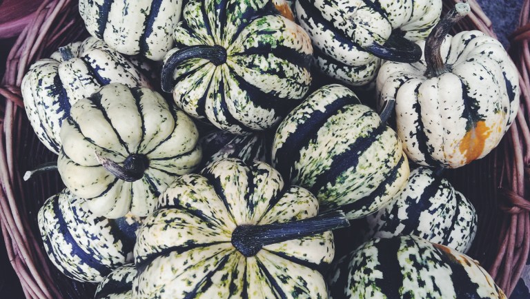 Processed with VSCOcam with f2 preset