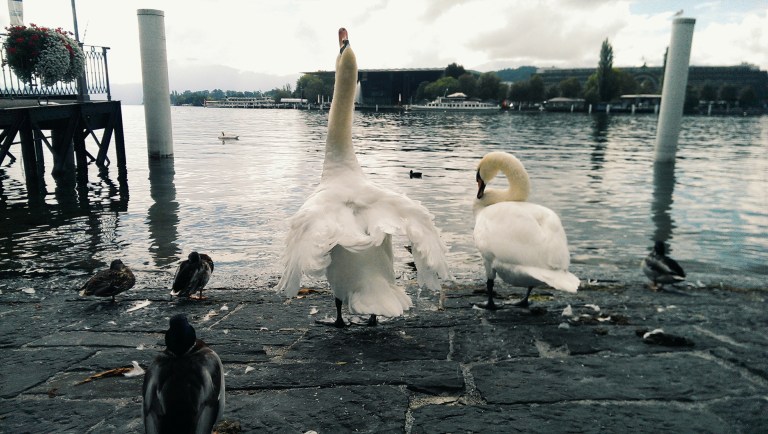 Processed with VSCOcam with g3 preset