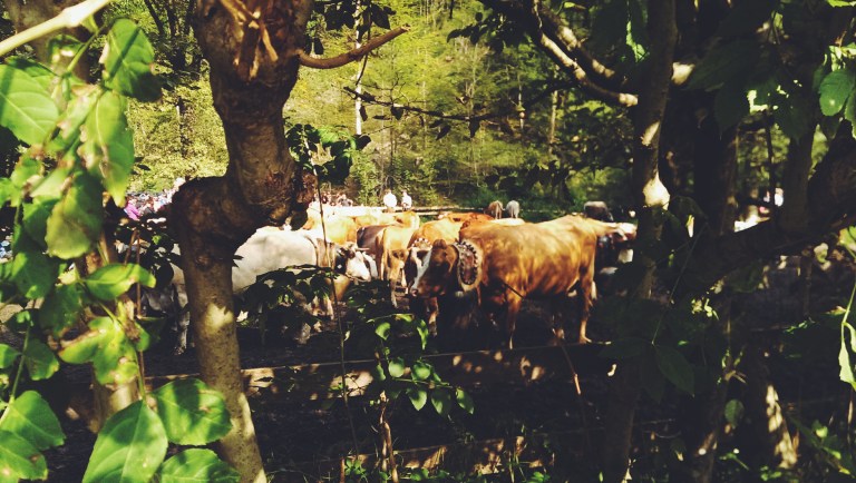 Processed with VSCOcam with f2 preset