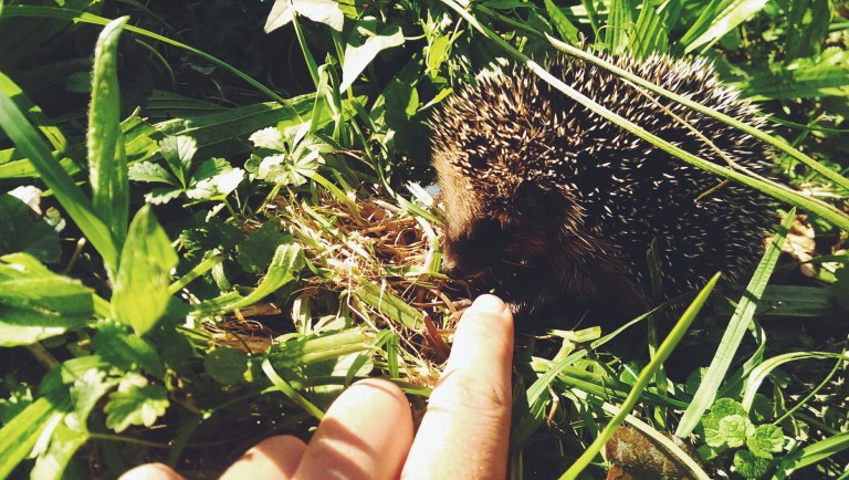 Processed with VSCOcam with f2 preset