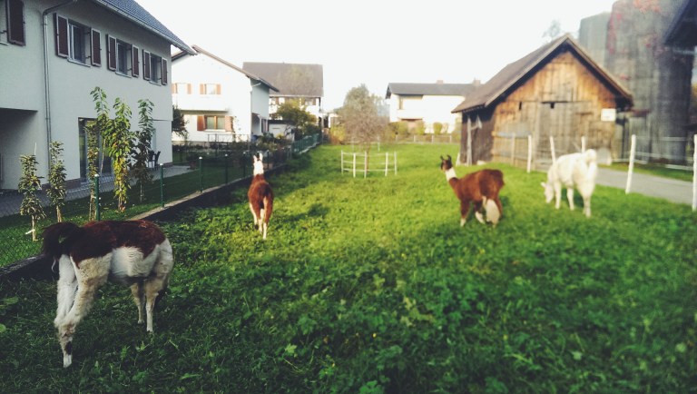 Processed with VSCO with f2 preset