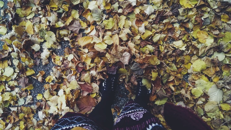 Processed with VSCO with f2 preset