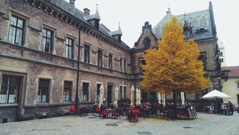 Processed with VSCO with f2 preset