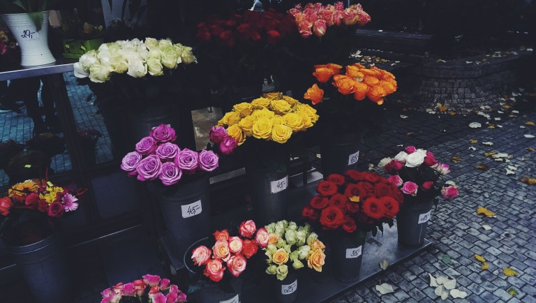 Processed with VSCO with f2 preset