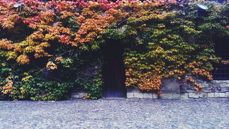 Processed with VSCO with f2 preset