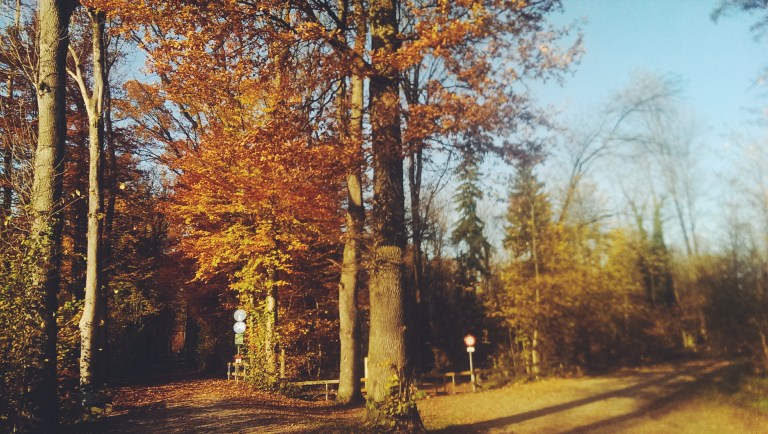 Processed with VSCO with f2 preset