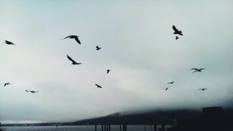 Processed with VSCO with f2 preset