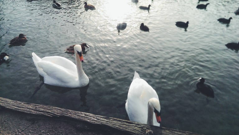 Processed with VSCO with f2 preset