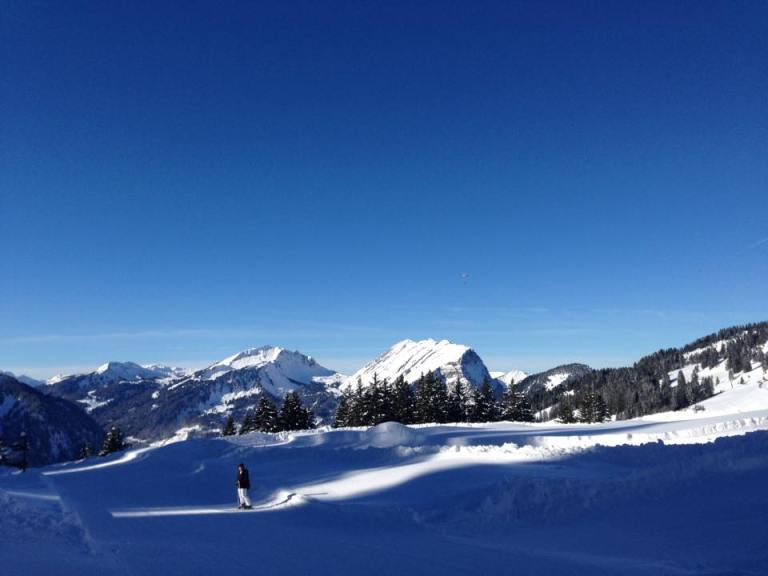 12576179_10153170363671315_2068467681_n