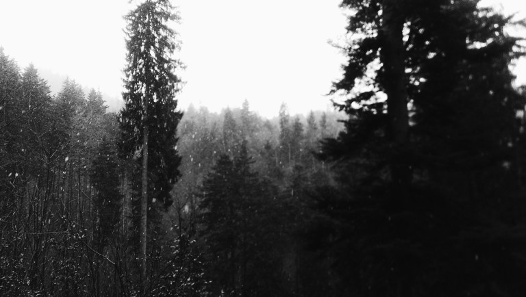 Processed with VSCO with b1 preset