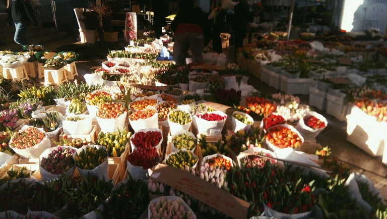 Processed with VSCO with p5 preset