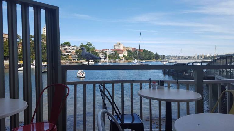 12773131_10156632935885473_2106296337_o