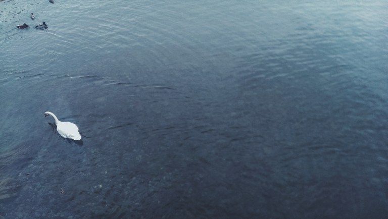 Processed with VSCO with f2 preset