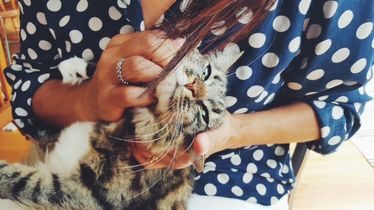 Processed with VSCO with f2 preset